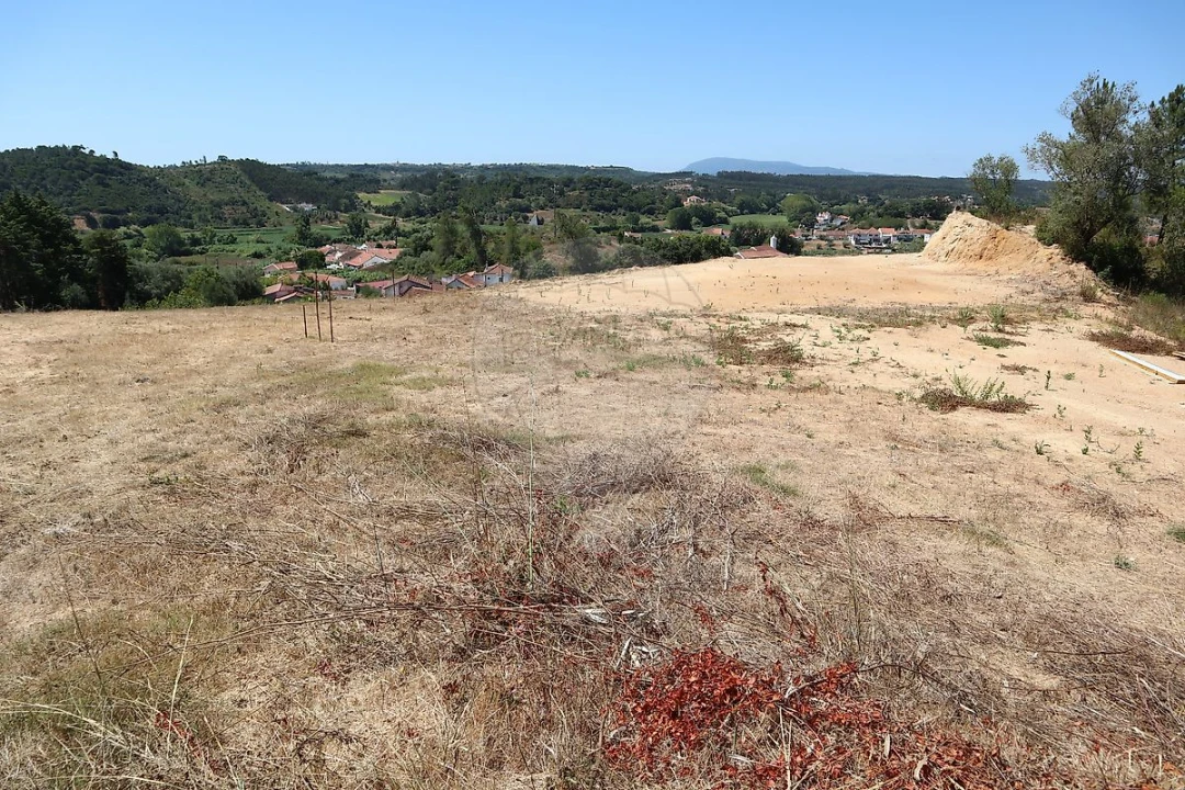 Terreno para Venda em São João da Ribeira e Ribeira de São João Foto 2