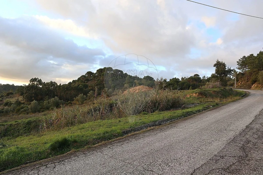 Terreno para Venda em São João da Ribeira e Ribeira de São João Foto 9