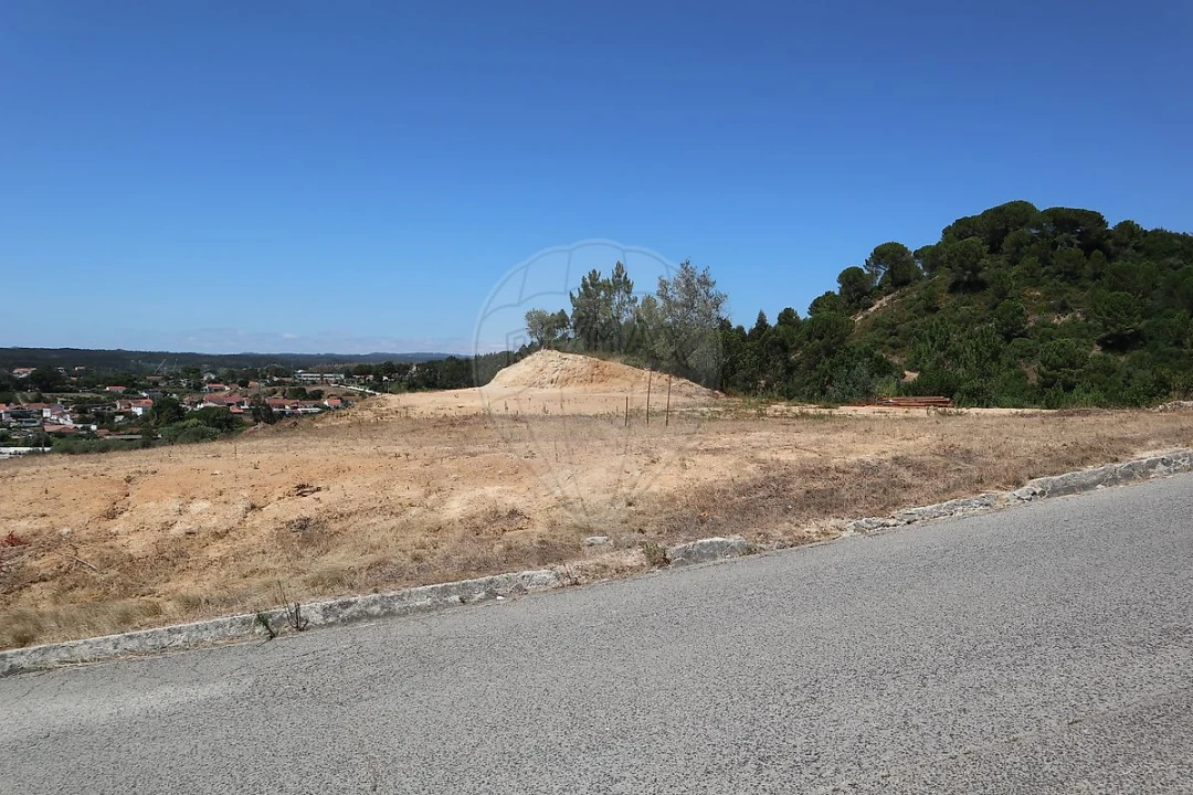 Terreno para Venda em São João da Ribeira e Ribeira de São João Foto 4