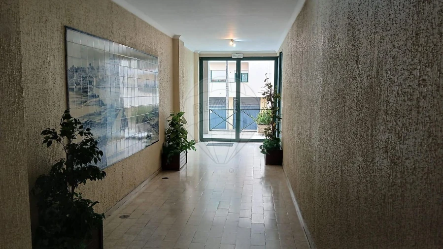 Apartamento T1 para Arrendamento em Eiras e São Paulo de Frades Foto 20