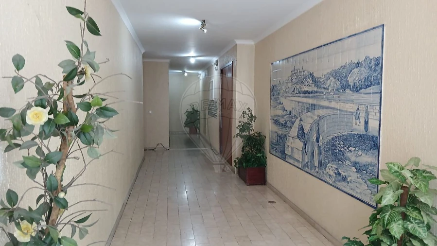 Apartamento T1 para Arrendamento em Eiras e São Paulo de Frades Foto 21