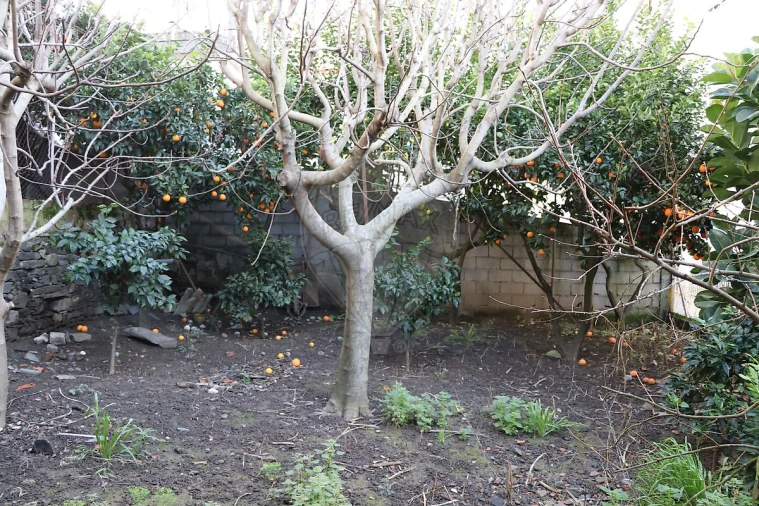 Prédio para Venda em Peso da Régua e Godim Foto 26