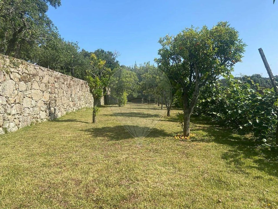 Moradia T6 para Venda em Sever do Vouga Foto 4