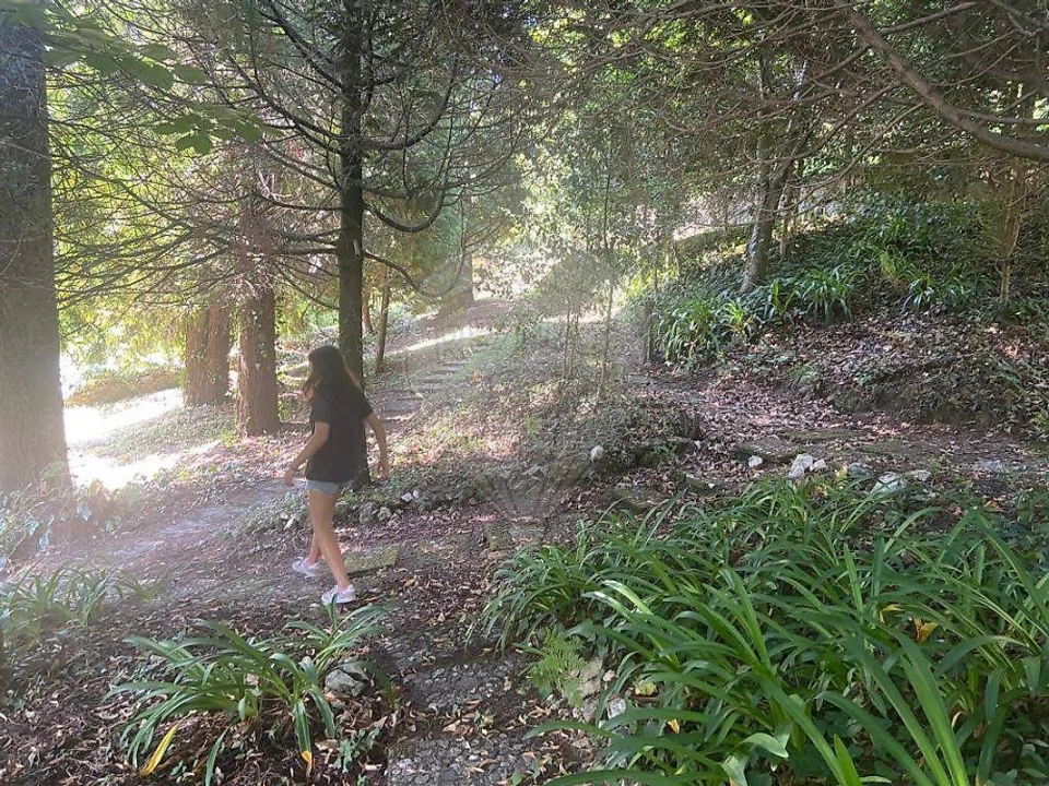 Moradia T6 para Venda em Sever do Vouga Foto 24