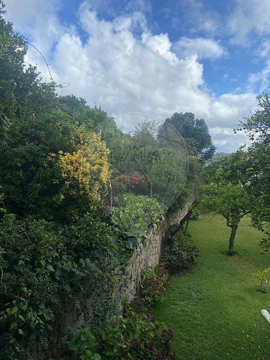 Moradia T6 para Venda em Sever do Vouga Foto 5