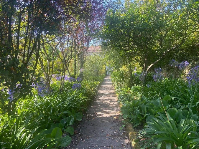 Moradia T6 para Venda em Sever do Vouga Foto 3