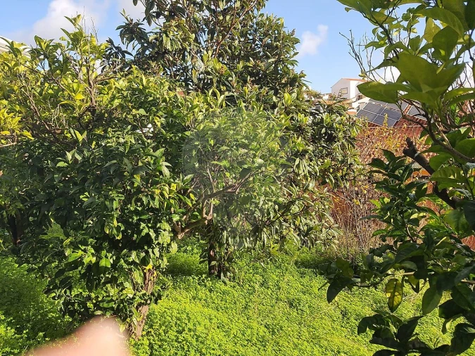 Terreno para Venda em Alverca do Ribatejo e Sobralinho Foto 7