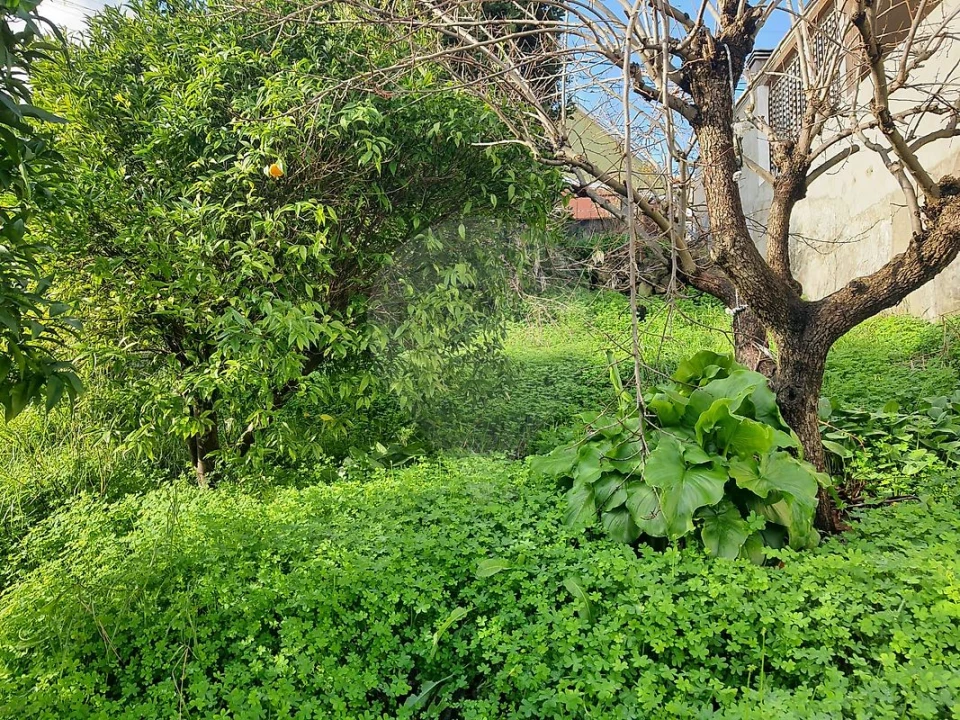 Terreno para Venda em Alverca do Ribatejo e Sobralinho Foto 10