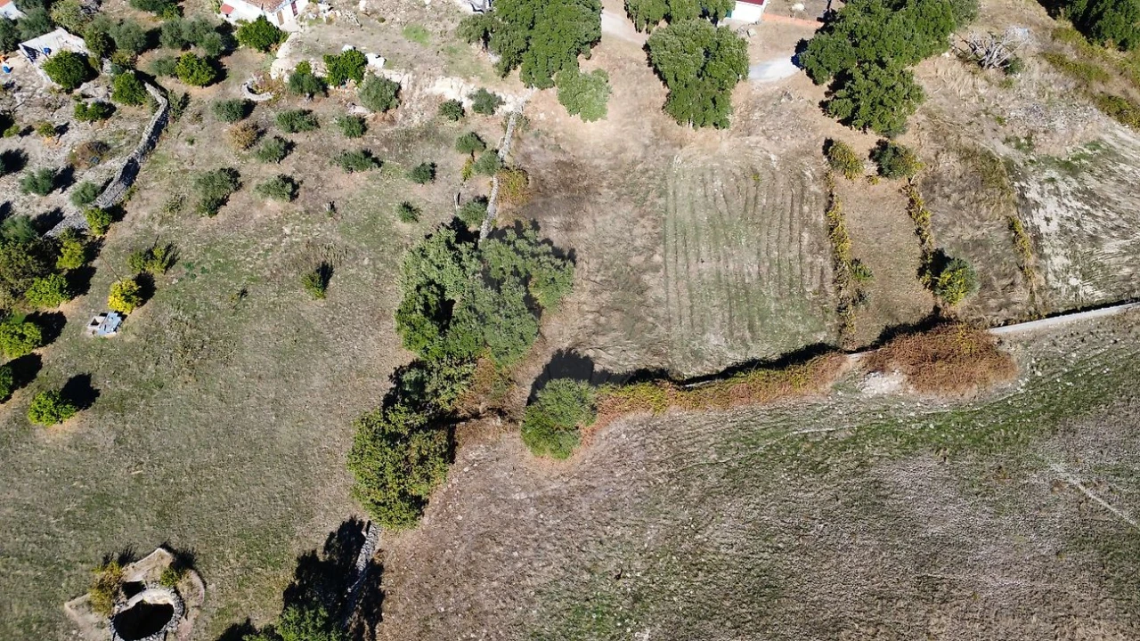 Terreno para Venda em Alcains Foto 7