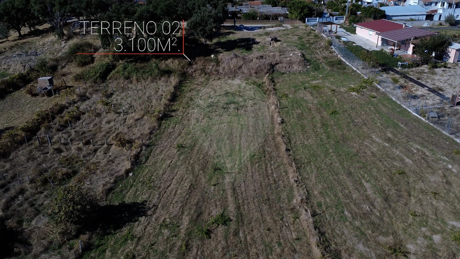 Terreno para Venda em Alcains Foto 4