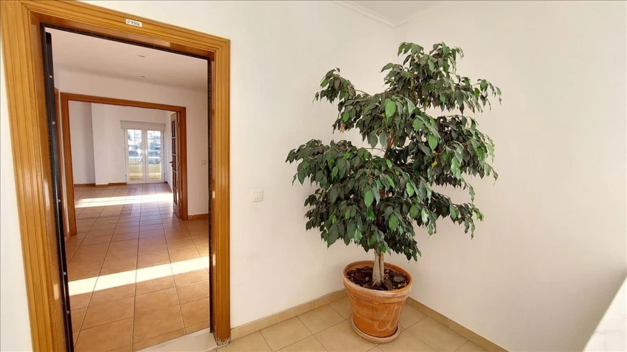 Apartamento T3 para Venda em Agualva e Mira-Sintra Foto 3