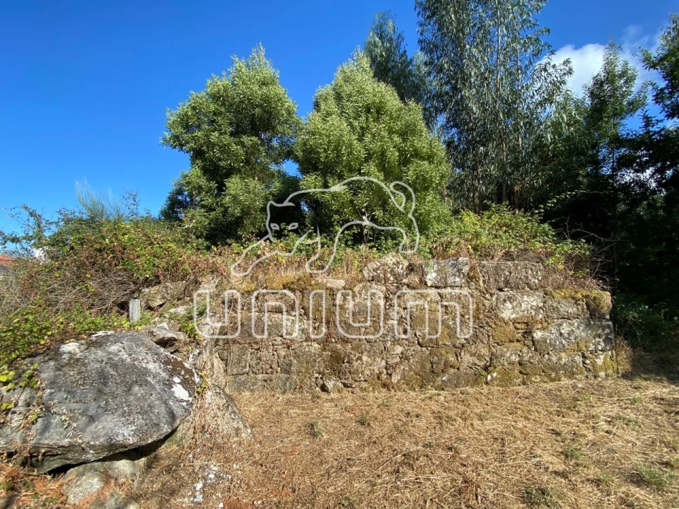Terreno para Venda em Ancora Foto 1
