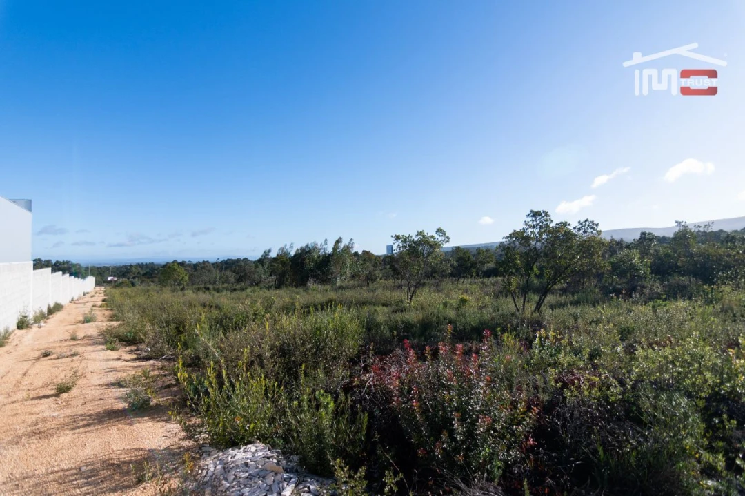 Terreno Agricola ou Rústico para Arrendamento em Fatima Foto 10