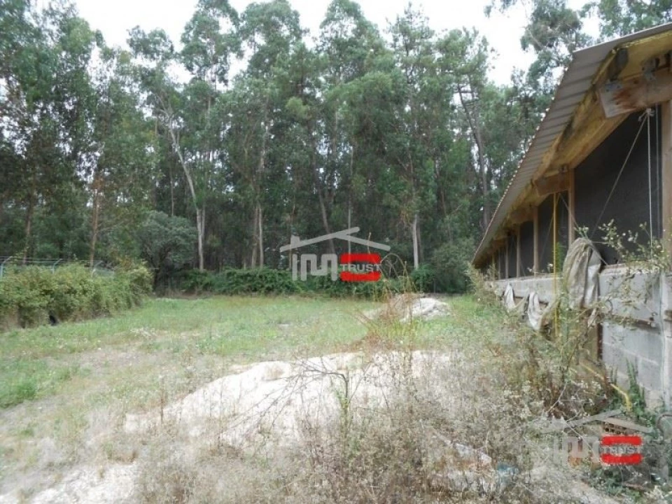 Moradia T8 para Venda em Fatima Foto 9