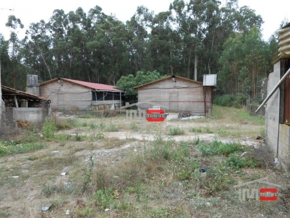 Moradia T8 para Venda em Fatima Foto 19