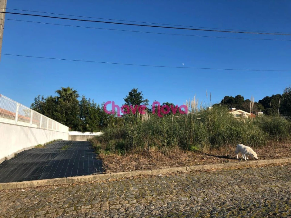 Terreno para Venda em Paços de Brandão Foto 2