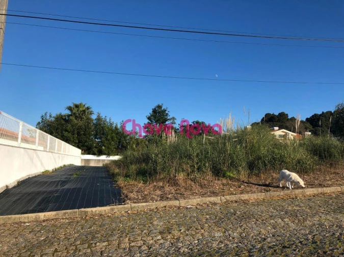 Terreno para Venda em Paços de Brandão Foto 2
