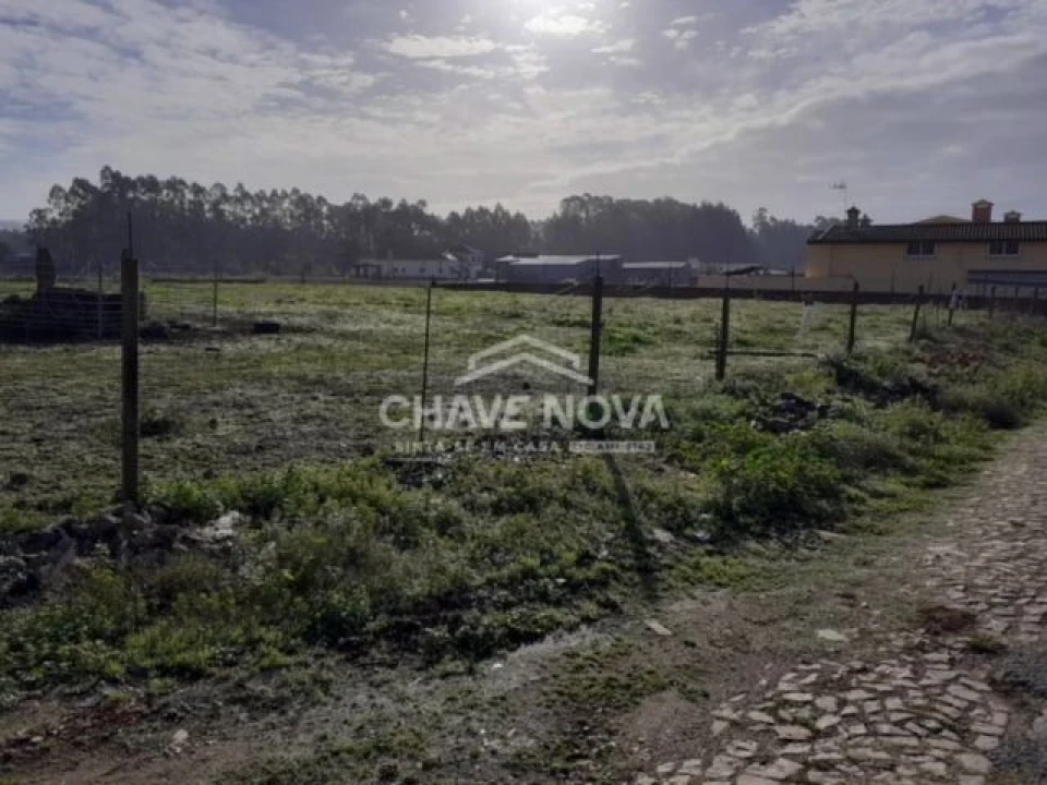 Terreno P/ Prédio para Venda em Loureiro Foto 3