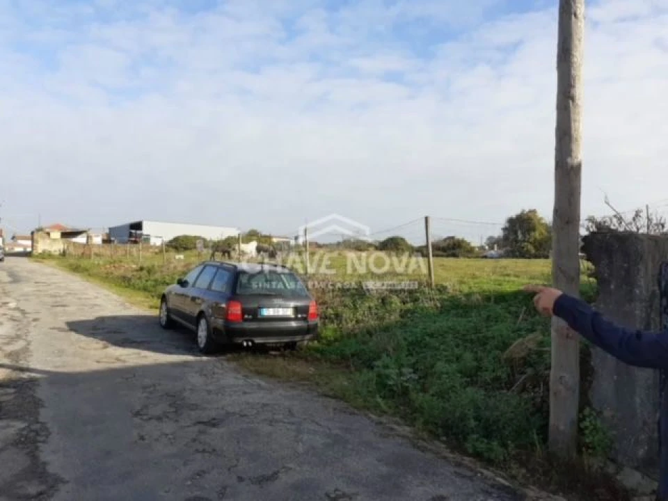 Terreno P/ Prédio para Venda em Loureiro Foto 6