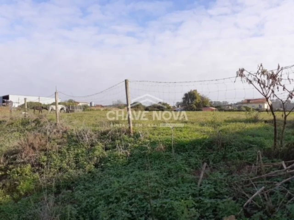 Terreno P/ Prédio para Venda em Loureiro Foto 8
