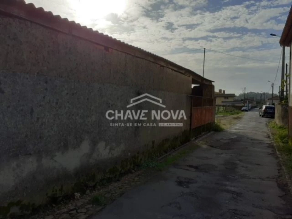 Terreno P/ Prédio para Venda em Loureiro Foto 9