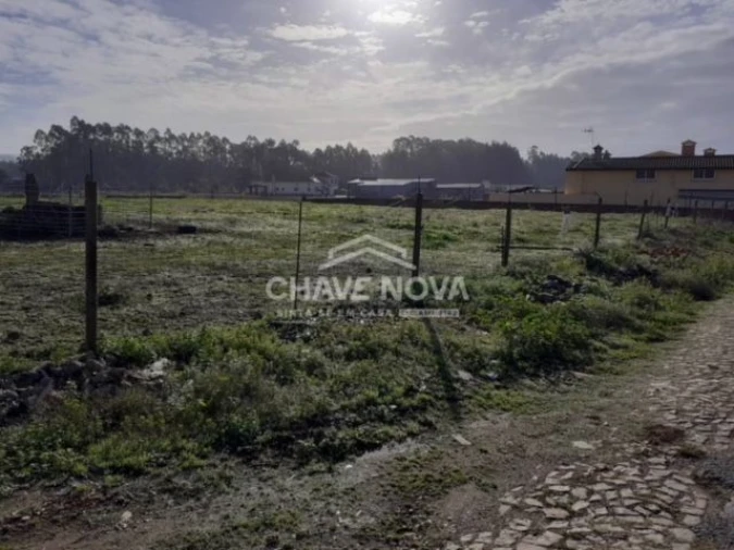 Terreno P/ Prédio para Venda em Loureiro Foto 3