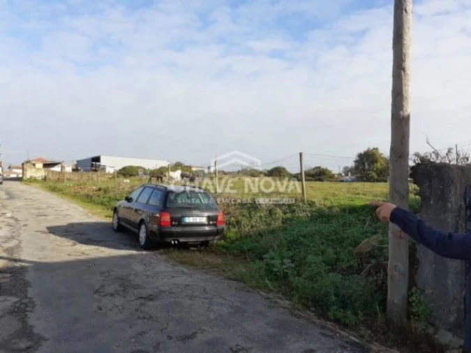 Terreno P/ Prédio para Venda em Loureiro Foto 6