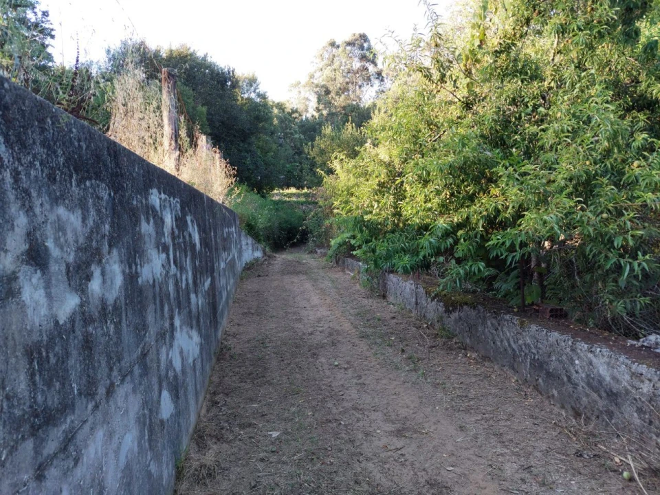 Terreno Agricola ou Rústico para Venda em Arcozelo Foto 4