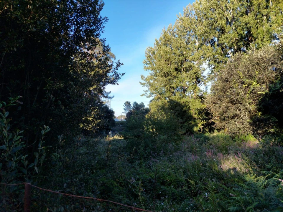 Terreno Agricola ou Rústico para Venda em Arcozelo Foto 7