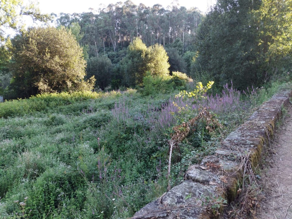 Terreno Agricola ou Rústico para Venda em Arcozelo Foto 11