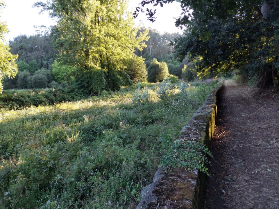 Terreno Agricola ou Rústico para Venda em Arcozelo Foto 12