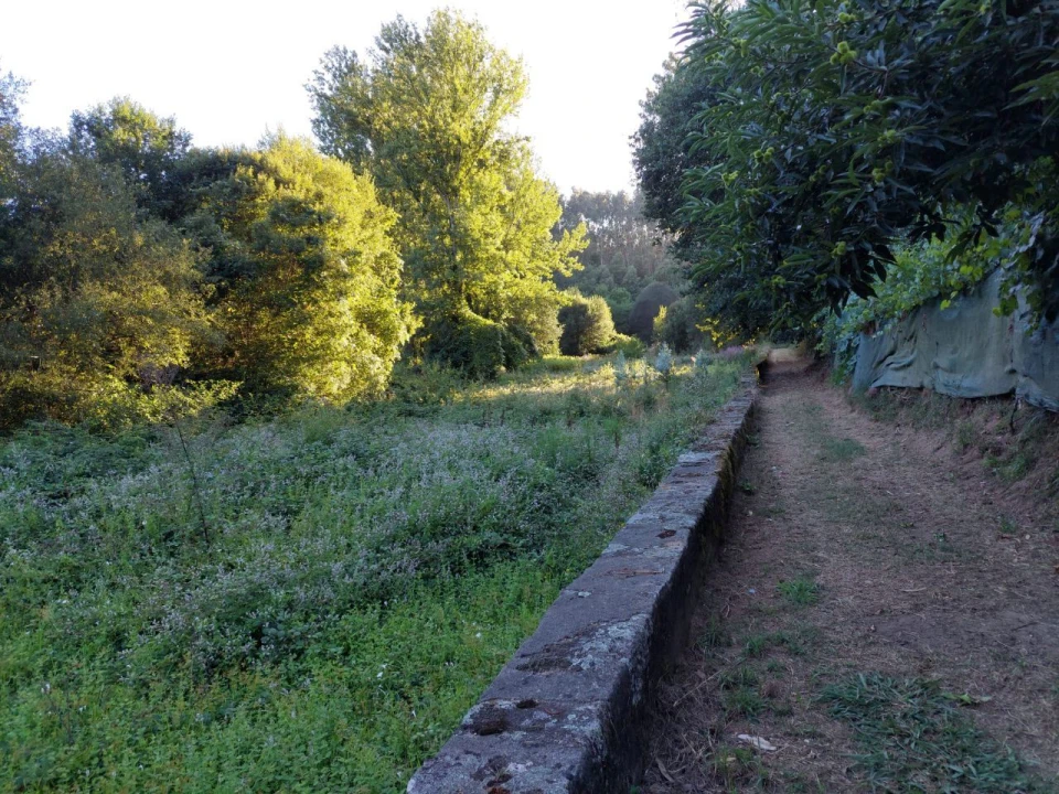 Terreno Agricola ou Rústico para Venda em Arcozelo Foto 13