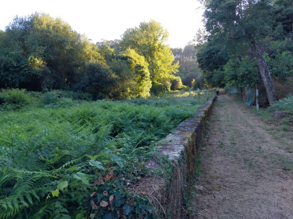 Terreno Agricola ou Rústico para Venda em Arcozelo Foto 14