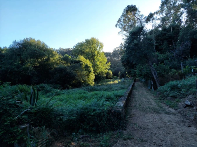 Terreno Agricola ou Rústico para Venda em Arcozelo Foto 2