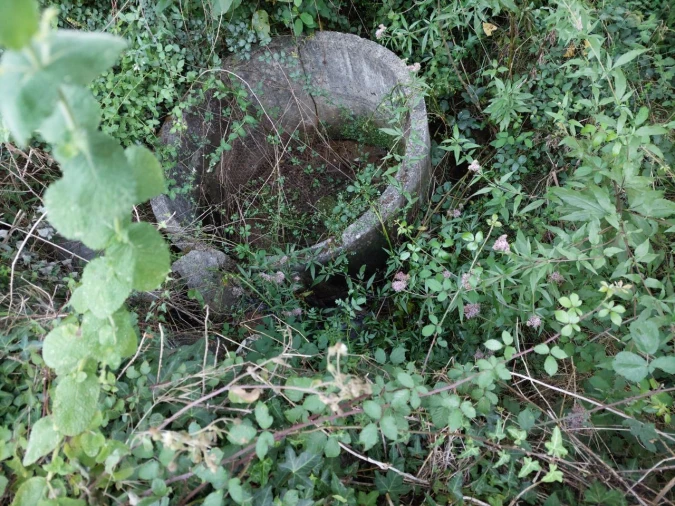 Terreno Agricola ou Rústico para Venda em Arcozelo Foto 6