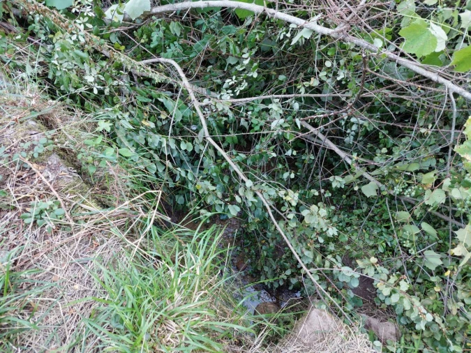 Terreno Agricola ou Rústico para Venda em Arcozelo Foto 10