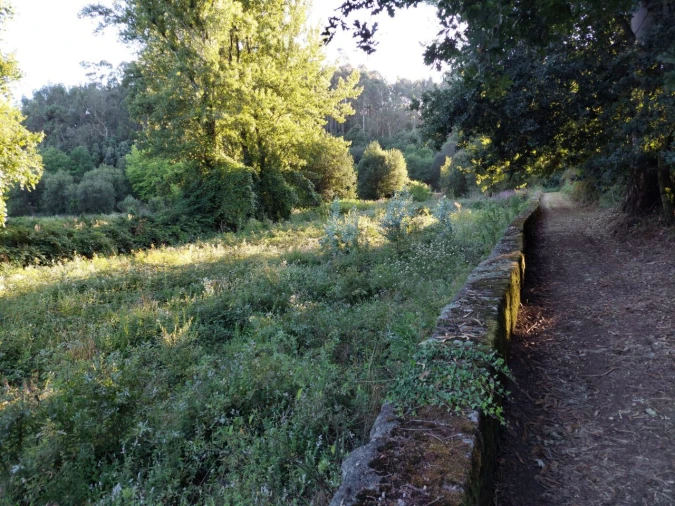 Terreno Agricola ou Rústico para Venda em Arcozelo Foto 12