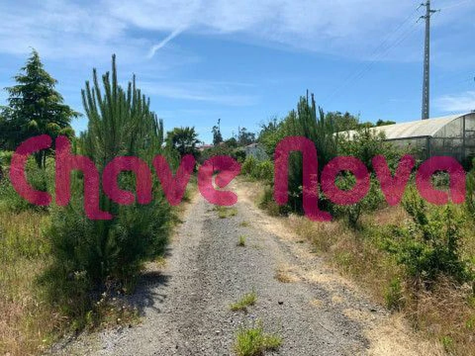 Quinta T5 para Venda em Arvore Foto 16