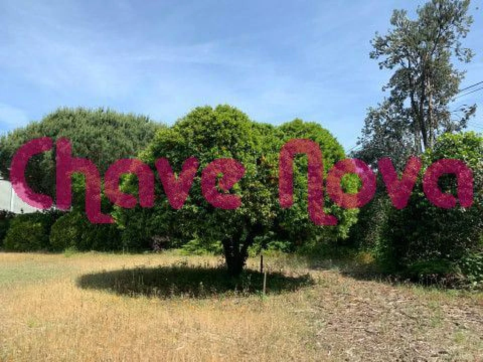 Quinta T5 para Venda em Arvore Foto 21