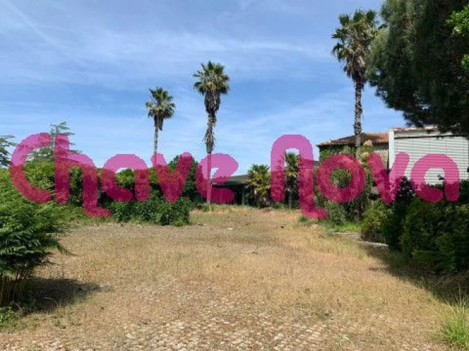 Quinta T5 para Venda em Arvore Foto 17