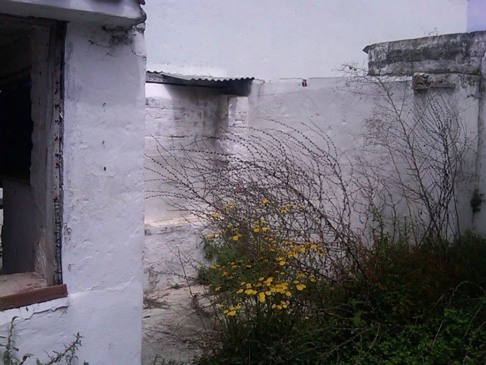 Moradia T4 para Venda em Assunção, Ajuda, Salvador e Santo Ildefonso Foto 29