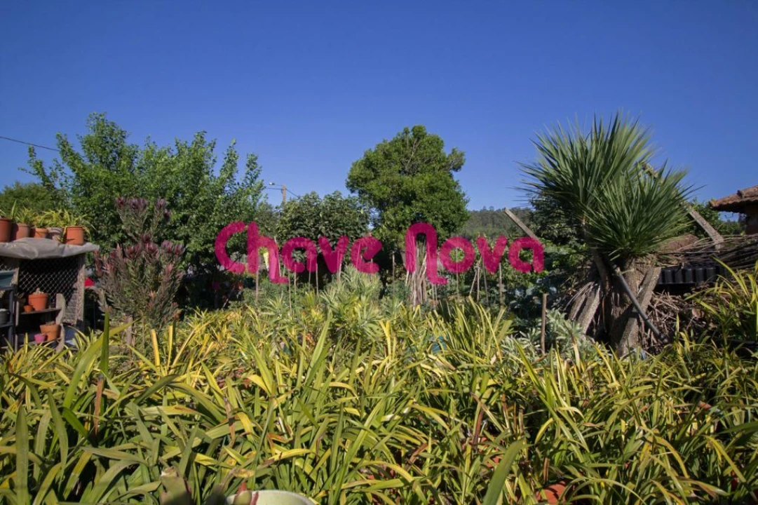 Terreno para Venda em São Martinho da Gandara Foto 4