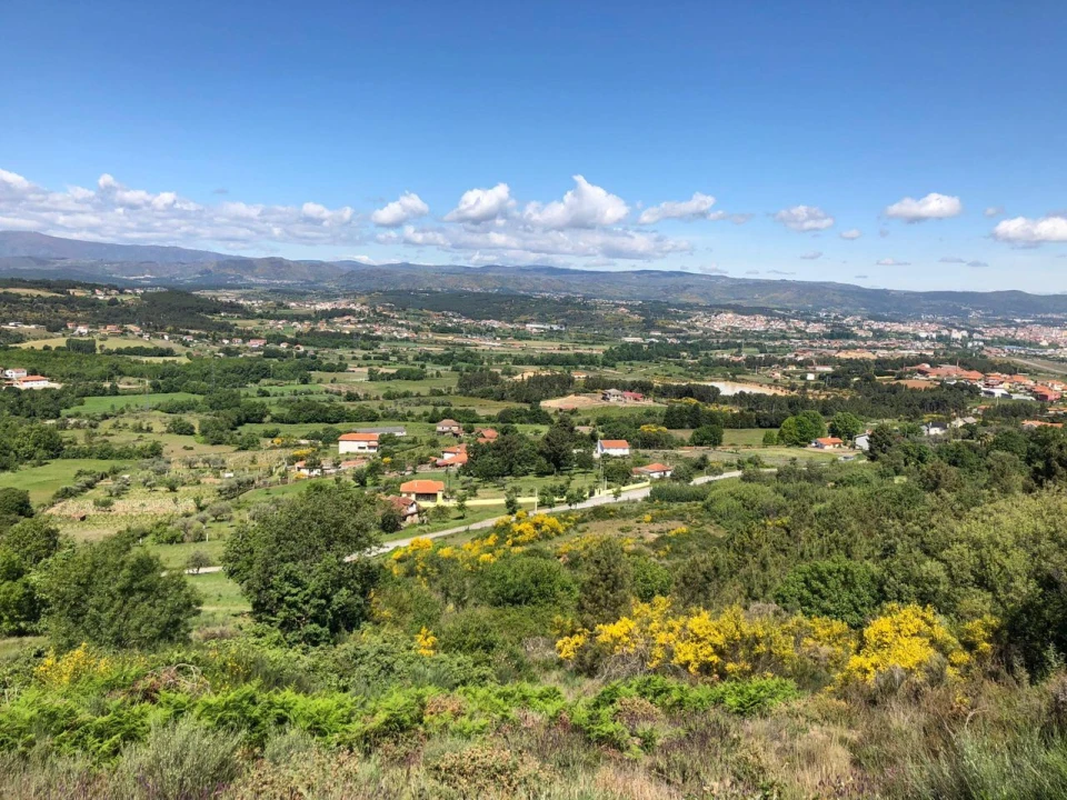 Terreno P/ Prédio para Venda em Madalena e Samaiões Foto 3