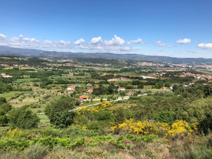 Terreno P/ Prédio para Venda em Madalena e Samaiões Foto 3