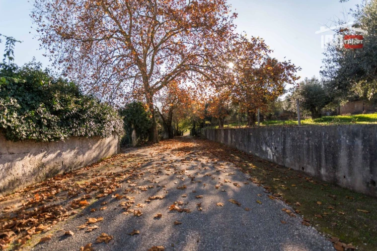 Quinta T6 para Venda em Além da Ribeira e Pedreira Foto 29