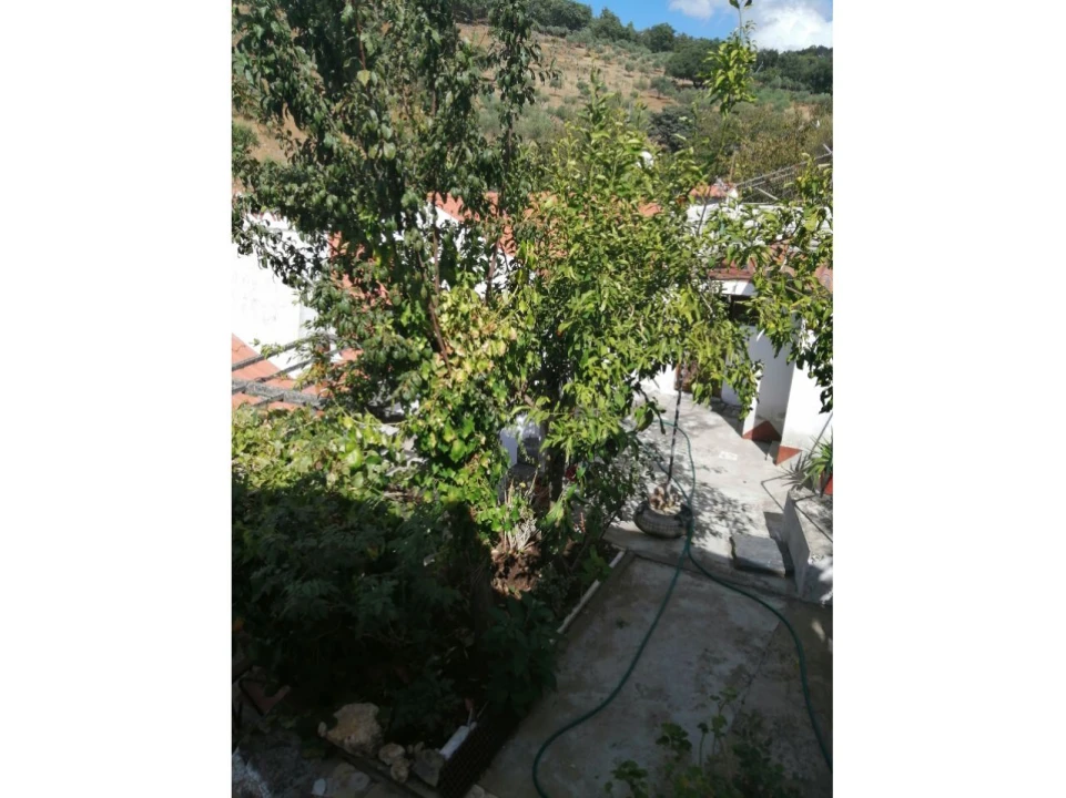 Moradia T4 para Venda em São Salvador da Aramenha Foto 28