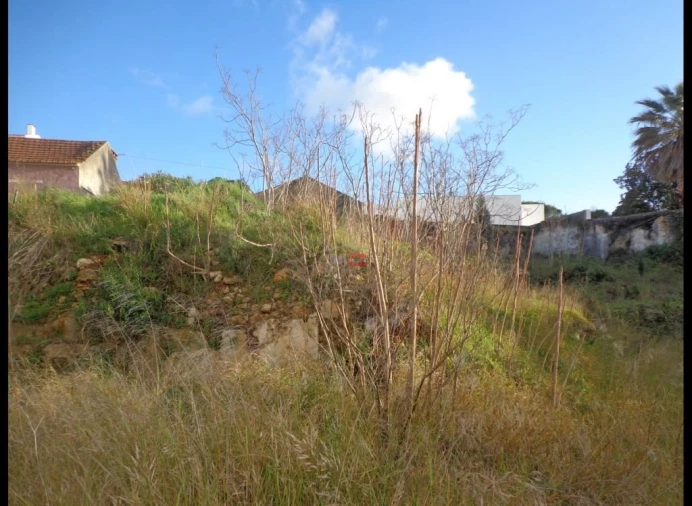Terreno Misto para Venda em Alcanena e Vila Moreira Foto 4