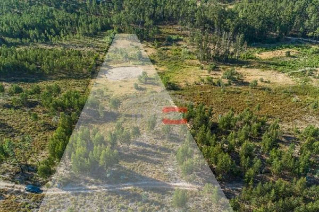 Terreno Misto para Venda em Alburitel Foto 1