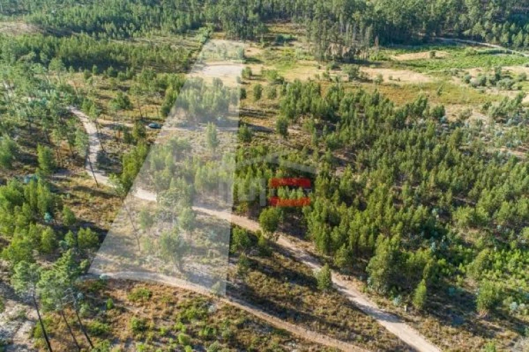 Terreno Misto para Venda em Alburitel Foto 2