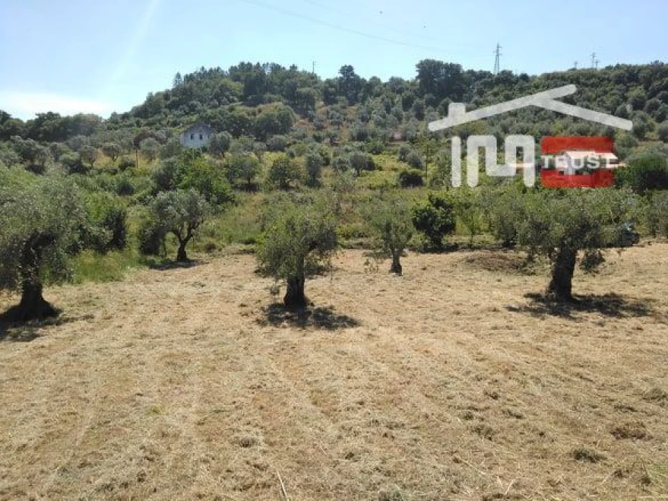 Terreno Misto para Venda em Nossa Senhora da Piedade Foto 5